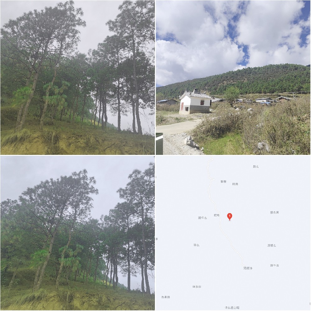 華君林權