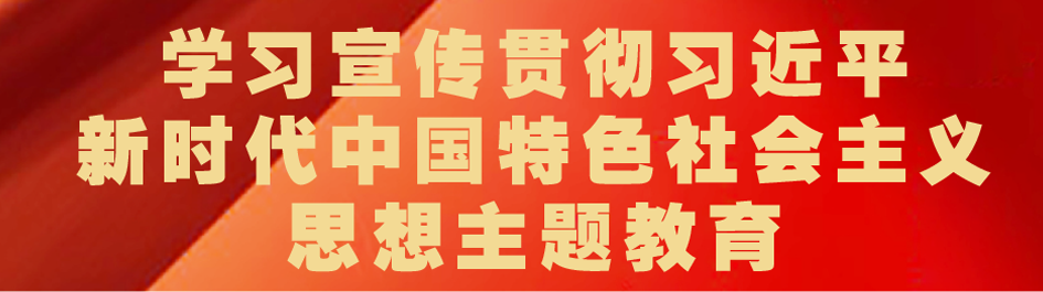 新時代中國特色社會主義思想主題教育